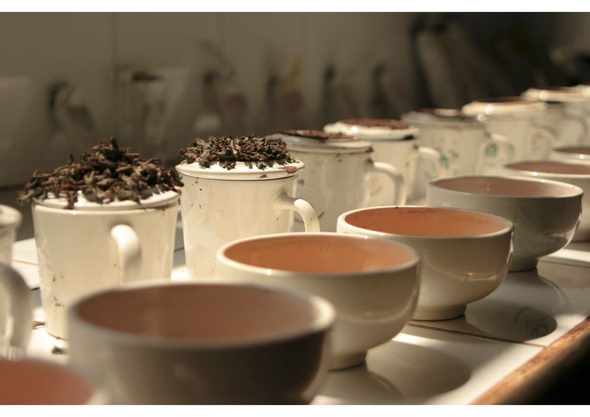 この冬、TEARTHから新しいフレーバーティー 「アイリッシュクリーム」新発売！