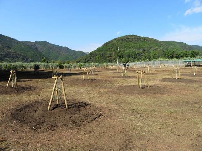 J-オイルミルズ片瀬圃場