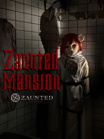 ZAUNTED MANSION