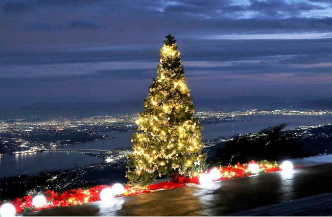 びわ湖テラスクリスマス　シンボルツリー(イメージ)