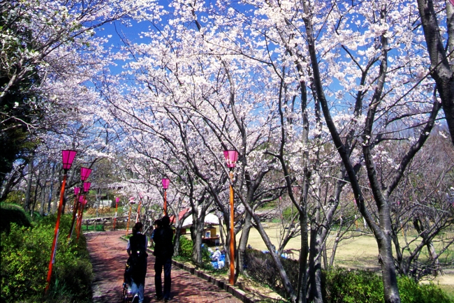 平草原公園