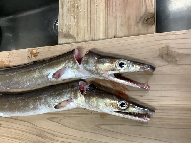季節の食材も使ってます