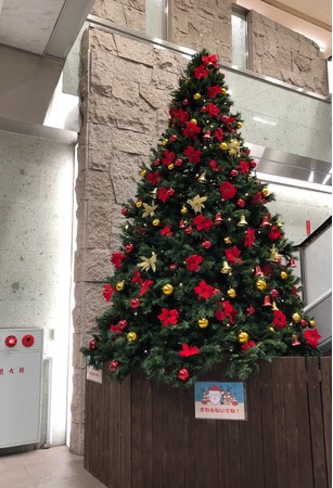 昨年のクリスマスツリー。今年も設置します
