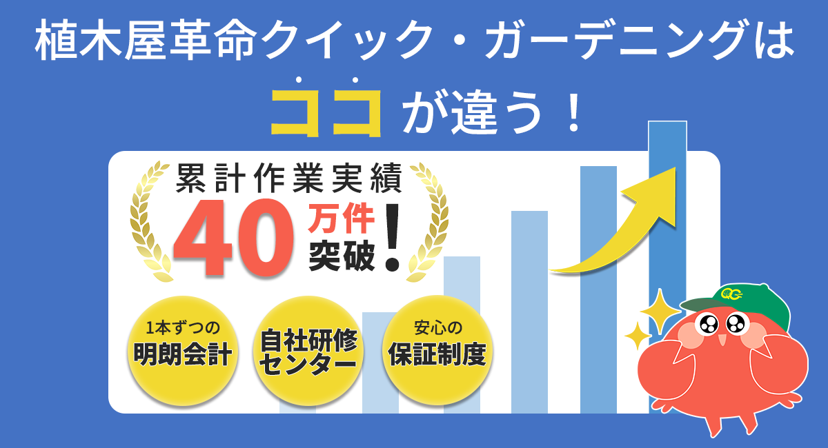 アイキャッチ画像